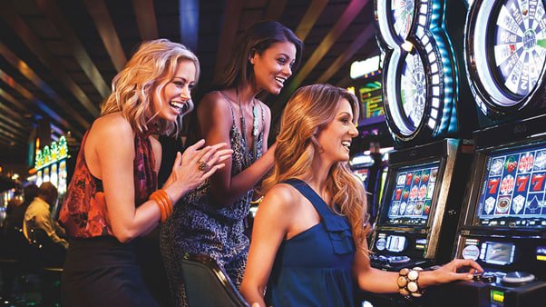 sv797 Hamara sportsbook ecosystem